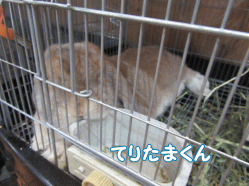 150430k.gif