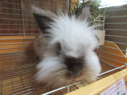 150430n.gif