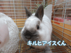 150430o.gif