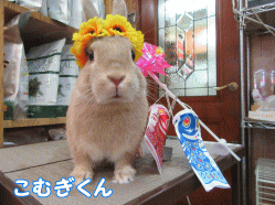 150501a1.gif