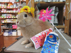 150501a2.gif