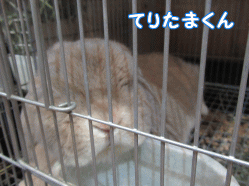 150501d1.gif