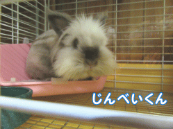 150501e1.gif