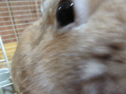 150501h2.gif