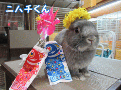 150502a1.gif
