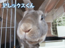 150502d1.gif