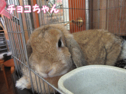 150502e1.gif