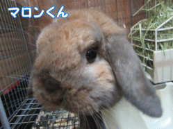 150502f1.gif