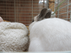 150502h2.gif