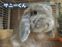 150502i1.gif
