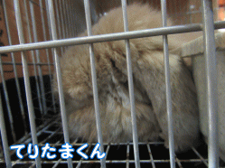 150502k1.gif