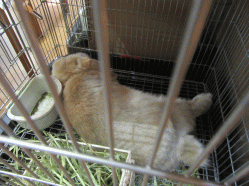 150502k2.gif