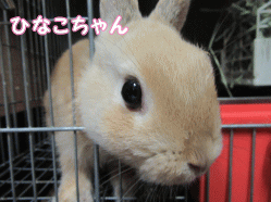 150502l1.gif