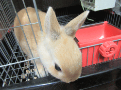 150502l2.gif