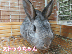 150502m1.gif