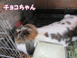 150502n1.gif