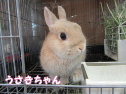 150502o1.gif