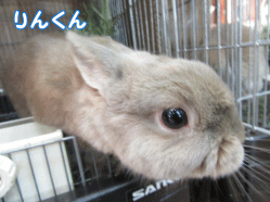 150502p1.gif