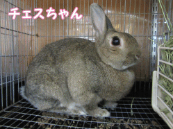150502q1.gif