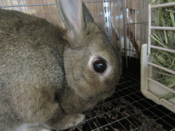 150502q2.gif