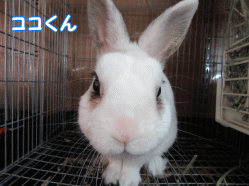 150502s1.gif