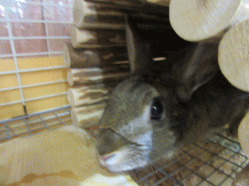 150502w2.gif