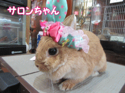 150503c.gif