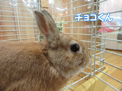 150503e.gif