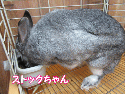 150503f.gif
