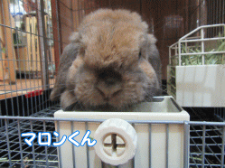150503k.gif