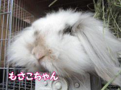 150503n.gif