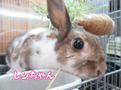 150503u.gif