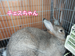 150503w.gif
