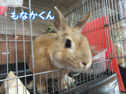 150503z3.gif