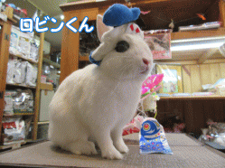 150504a.gif
