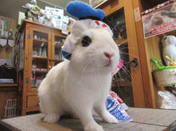 150504b.gif
