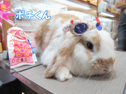 150504e.gif