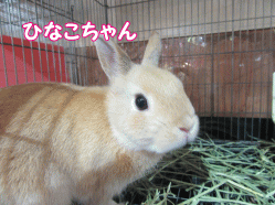 150504k.gif