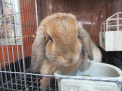 150504n.gif