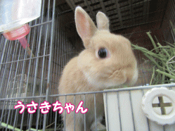 150504s.gif