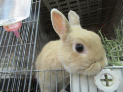 150504t.gif