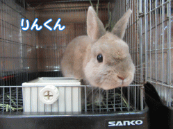 150504u.gif