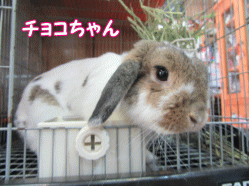 150504w.gif