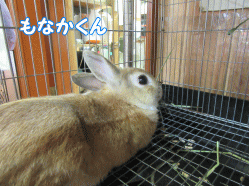 150504z1.gif