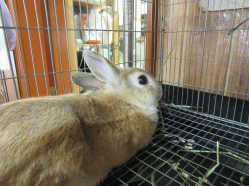 150504z2.gif