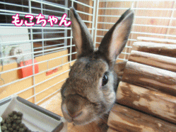 150504z7.gif