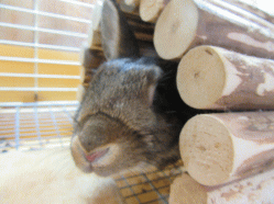 150504z8.gif
