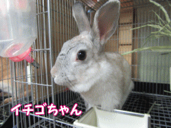150504z83.gif