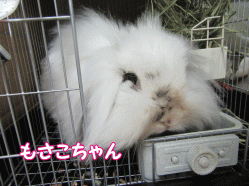 150504z85.gif