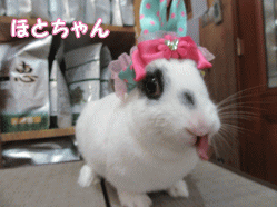 150505c.gif